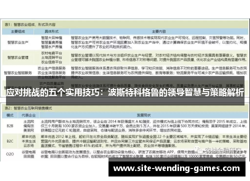 应对挑战的五个实用技巧：波斯特科格鲁的领导智慧与策略解析