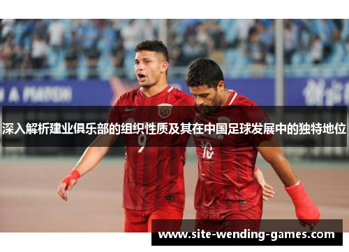 深入解析建业俱乐部的组织性质及其在中国足球发展中的独特地位