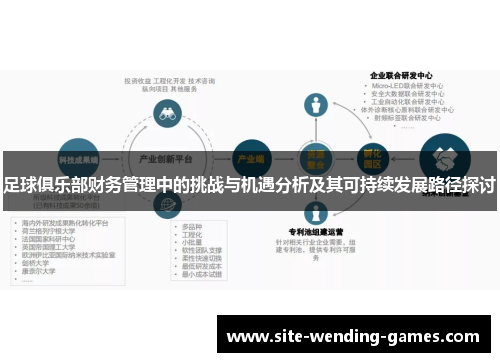 足球俱乐部财务管理中的挑战与机遇分析及其可持续发展路径探讨