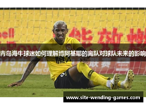 青岛海牛球迷如何理解博阿基耶的离队对球队未来的影响